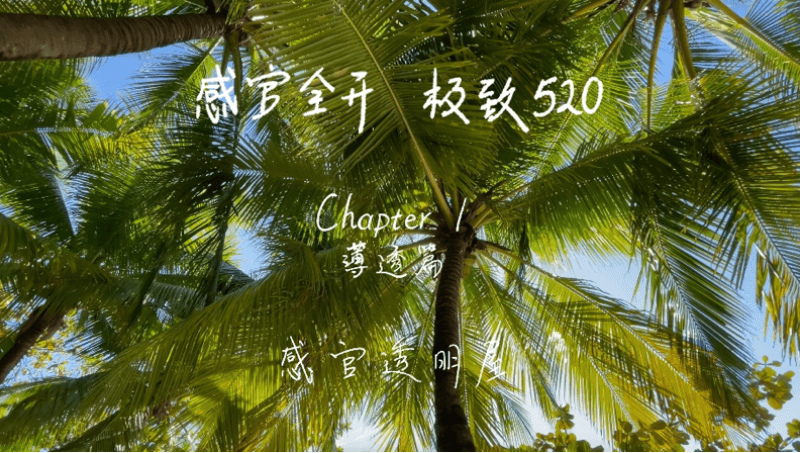 感官全开，极致520